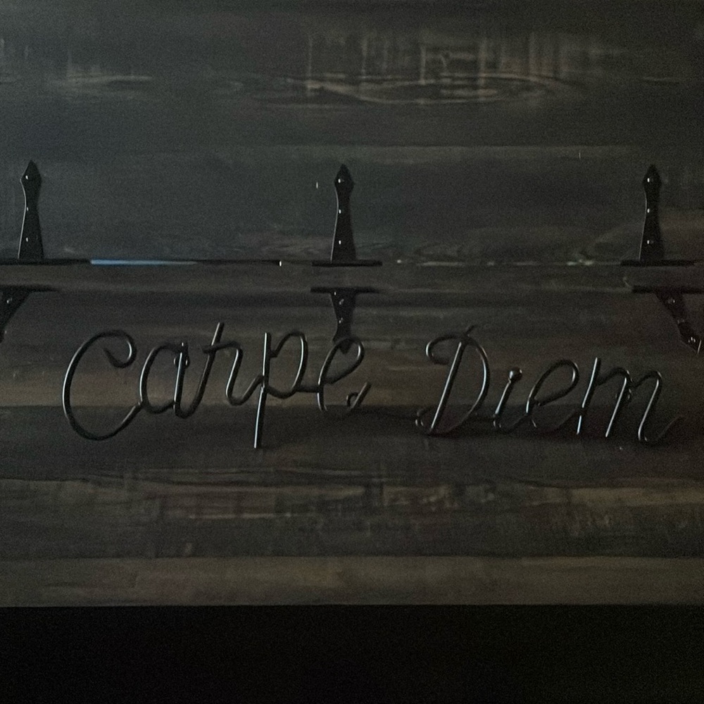 NEW METAL CARPE DIEM WALL HANGING BLACK